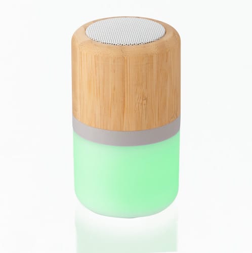 ABS and bamboo speaker