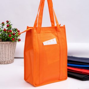 Non Woven Cooler Bag with Top Zip Closure