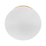 A round white speaker with a wooden accent. It features a logo on the surface.