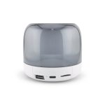 A Dazzle RGB Speaker in grey with a white base, featuring USB, Type-C, and TF card ports.