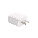 A white Paramount Wall Charger with two prongs designed for travel adapters in the phone and technology category.