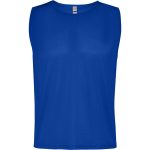 A blue sleeveless sports bib featuring a logo, suitable for youth sports uniforms.