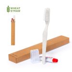 A dental kit set with a white toothbrush, toothpaste, a transparent holder, and a brown packaging box.
