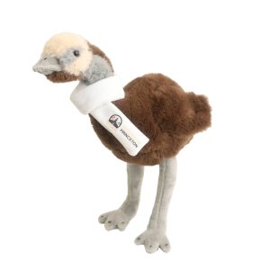 Custom Emu Plush Toy