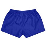 Blue sports shorts featuring an elastic waistband and a simple design, with a logo on the back.