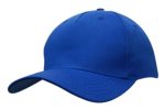 A blue cotton twill cap with a curved brim and an adjustable strap at the back. It features a logo on the front.