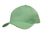 A green cap featuring a curved brim and a plain design, with a logo on the front.