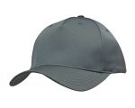 A grey premium sports cap featuring a curved brim and stitched detailing. It has a logo on the side.