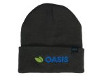 A grey beanie with a folded cuff and a logo featuring green and blue elements.