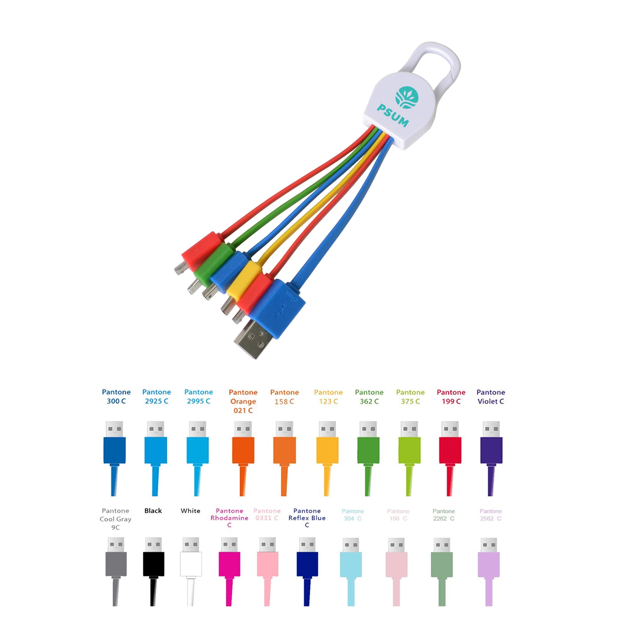 A multi-coloured 6-in-1 charging cable featuring five different connectors and a connector cap, with a logo. 6-In-1 Cable - Image 1