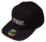 A black snapback cap featuring a logo on the front and a circular sticker on the brim.