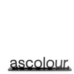A black acrylic display featuring the word "ascolour" in bold, stylised letters, mounted on a flat base.