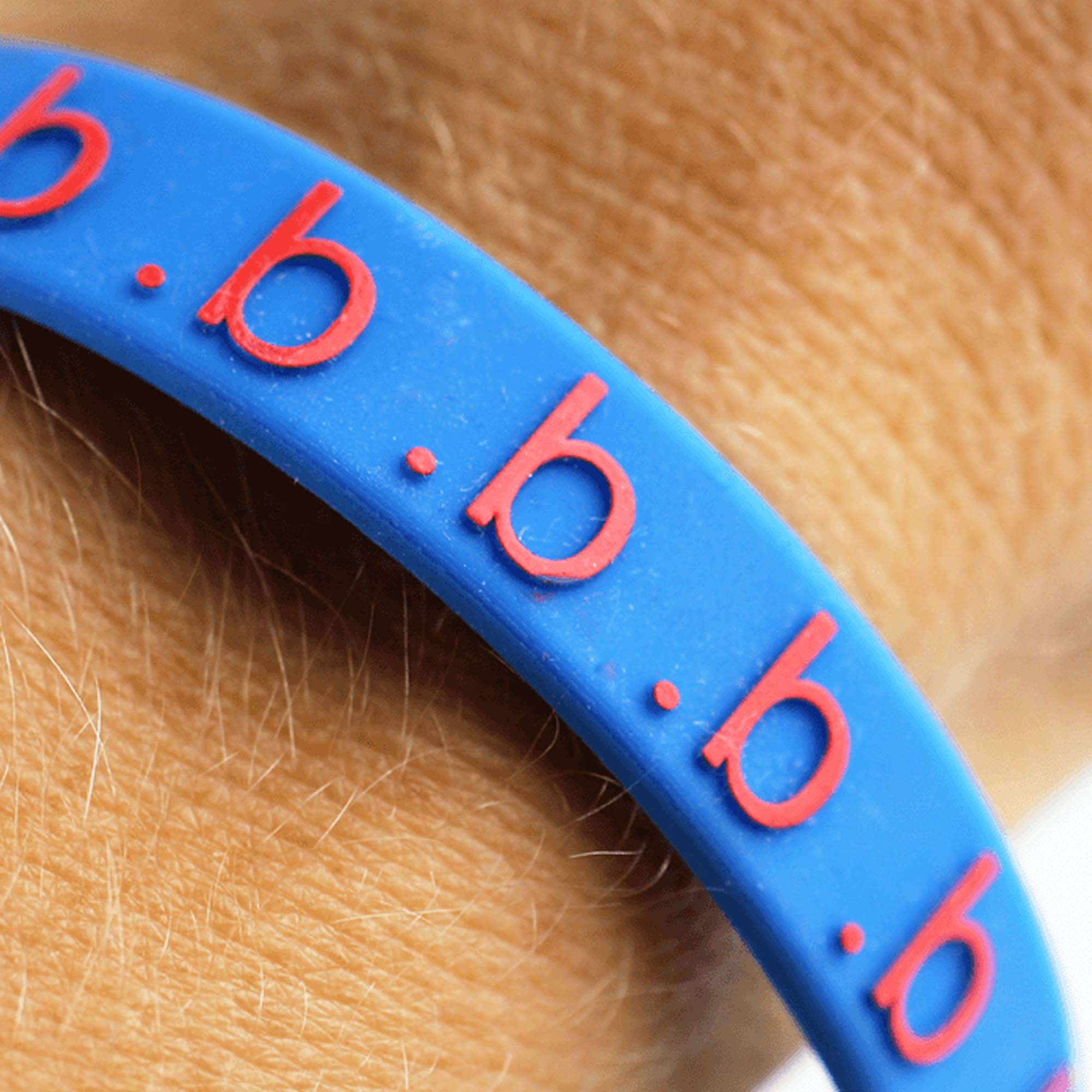 A blue silicone wristband with red embossed lettering, designed for exhibitions and events. Toaks Silicone Wrist Band Embossed - Image 1