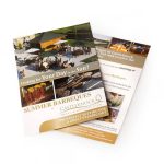 A double-sided A4 flyer featuring a barbecue theme with vibrant colours and a logo.