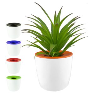 Mini Desk Plant Pot