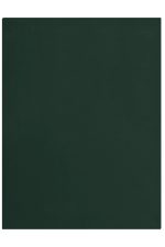 A dark green Fleece Blanket XXL, featuring a plain design with a logo. Ideal for leisure and outdoor activities.