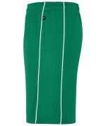 Green sports shorts featuring white striping and an elastic waistband, with a logo on the waistband.