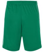 A pair of green sports shorts featuring a simple design and stripes along the sides, with an elastic waistband.