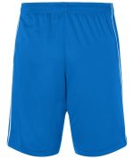 Blue sports shorts with a straight cut and side stripes, featuring an elastic waistband and branding logo.