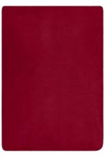 A red fleece blanket with a soft texture and edges that appear stitched, featuring a branding logo.