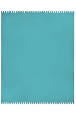 A turquoise fleece blanket with a textured edge, perfect for home and living decor.