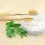 Bamboo Toothbrush