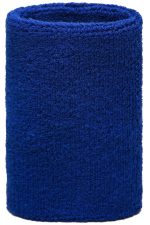 A blue Sporty Wristband made of soft, textured material with a simple design and an unseen logo.