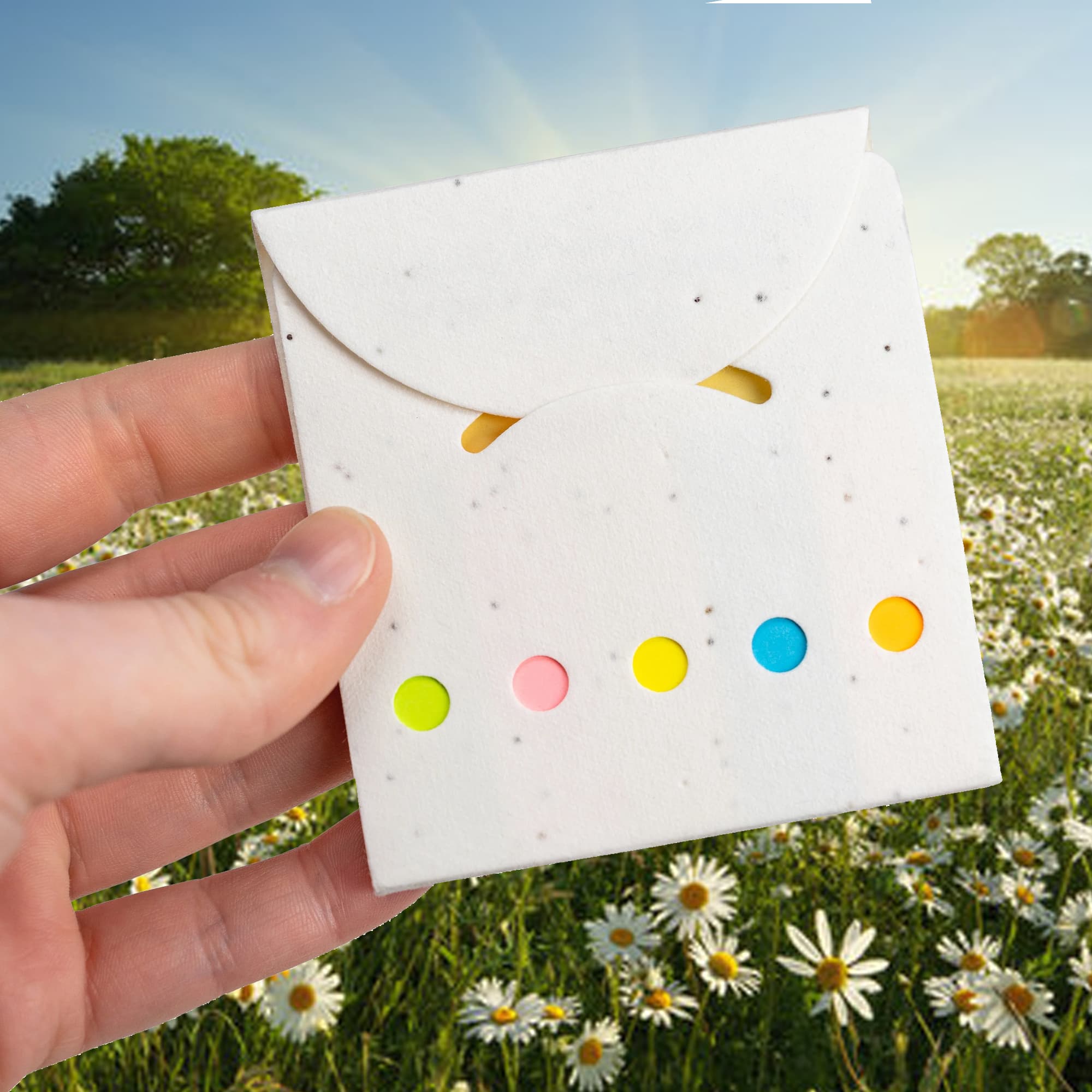 A hand holds a white envelope with colourful sticky note pads peeking out, surrounded by a field of daisies. Daisy Seed Sticky Note Pad - Image 1