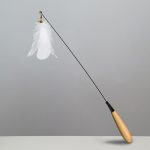 A toy wand with a wooden handle and a long string attached to a white feather.