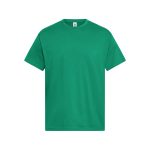 A green short-sleeved T-shirt with a simple design and a logo on the label.