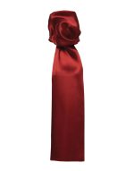 A plain red scarf made from smooth fabric, tied elegantly at the top. It has a simple design and no visible branding.