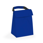 A blue cooler bag with a black grip handle and a flap closure, designed for carrying food and drinks.