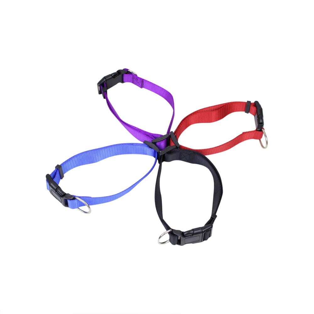A selection of dog collars in purple, red, blue, and black, featuring plastic clips and metal rings. Dog Collar - Image 1