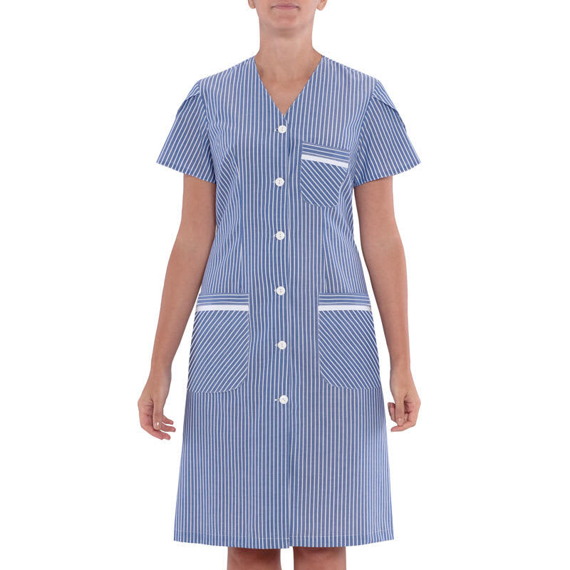 A striped blue dress with short sleeves, featuring a pocket and button closure at the front. Rossella Dress - Image 1