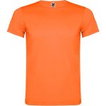Akita T-Shirt (Youth)