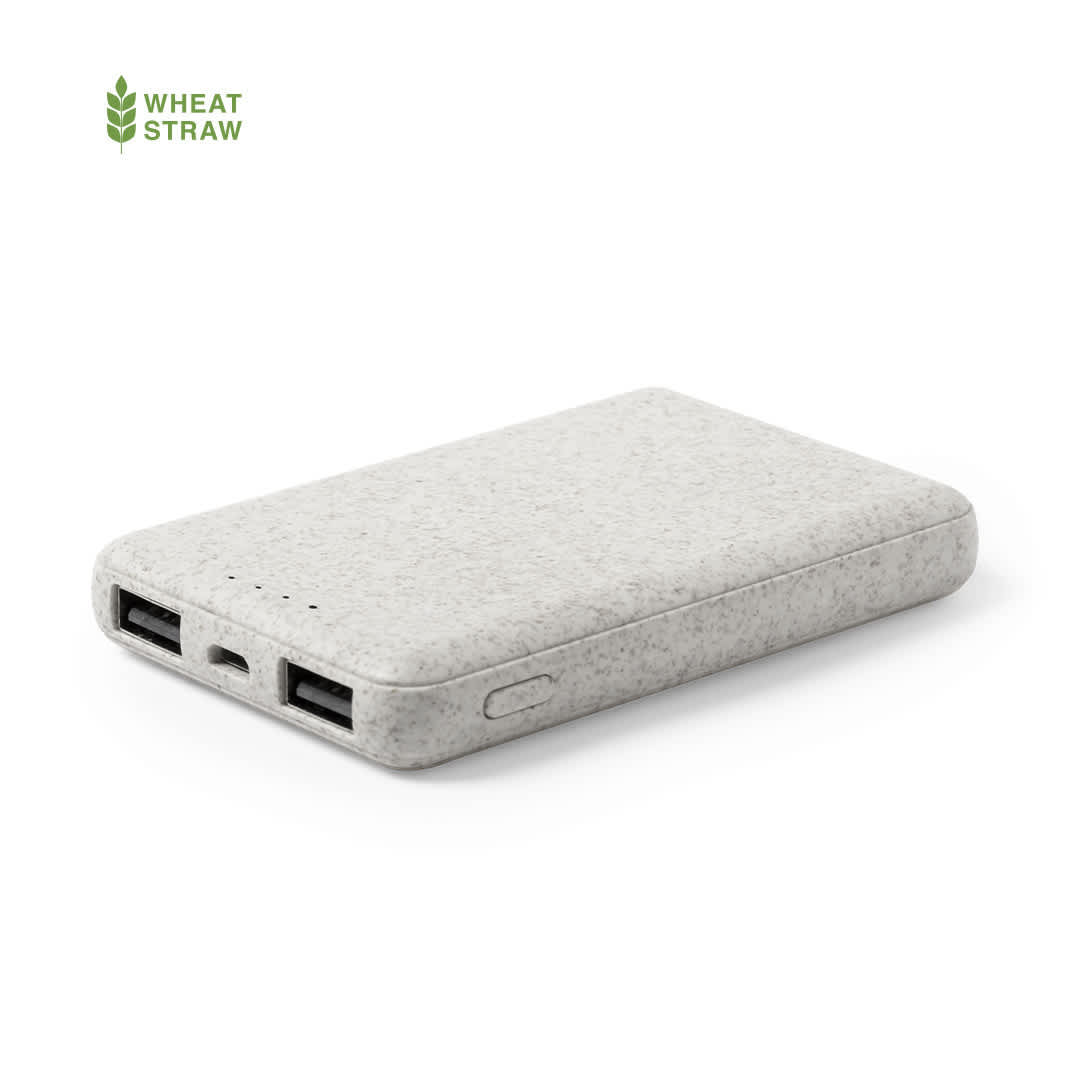 A grey power bank featuring two USB ports and a textured surface, with a logo. Shiden Power Bank - Image 1