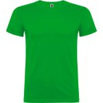 Beagle T-Shirt (Youth)