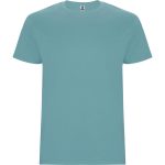 Stafford T-Shirt (Youth)