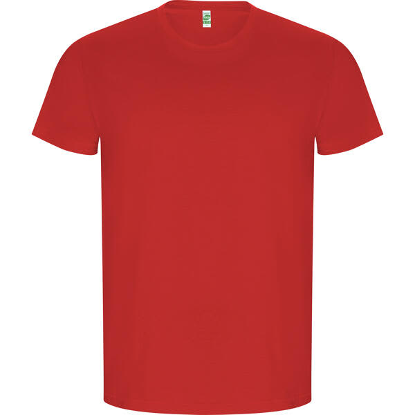 A red T-shirt featuring a round neck and short sleeves, with a small logo on the label. Golden T-Shirt (Youth) - Image 1