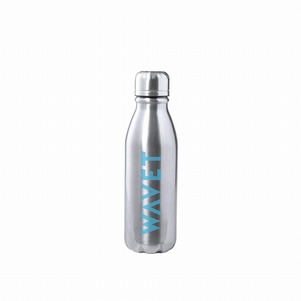 A drink bottle in silver metal with a blue logo design. It has a sleek, modern shape and a screw-top lid. Raican - Image 1