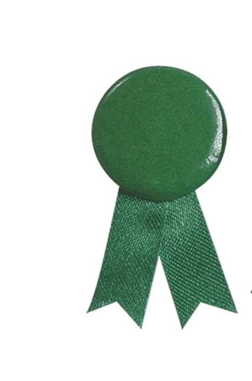 A green lapel pin featuring a round top and a ribbon base, designed for exhibitions and events. Solidario Pin Loop - Image 1