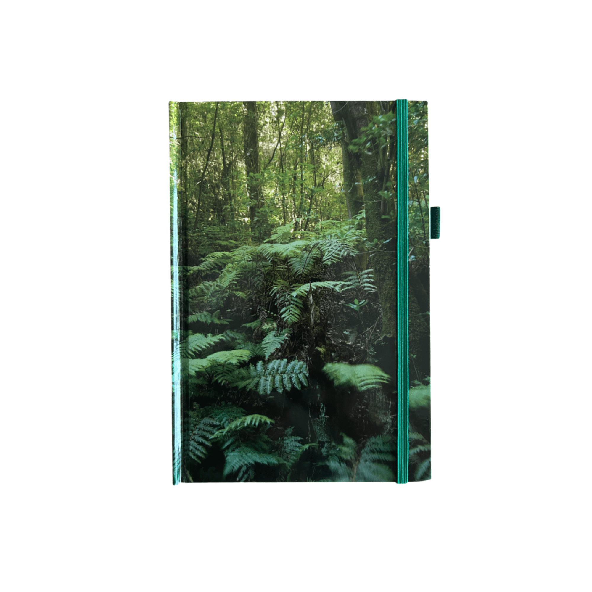 A hard cover notebook featuring a green fern forest design, with a teal binding and an elastic closure. Sustainable A5 Hard Cover Notebook - Image 1