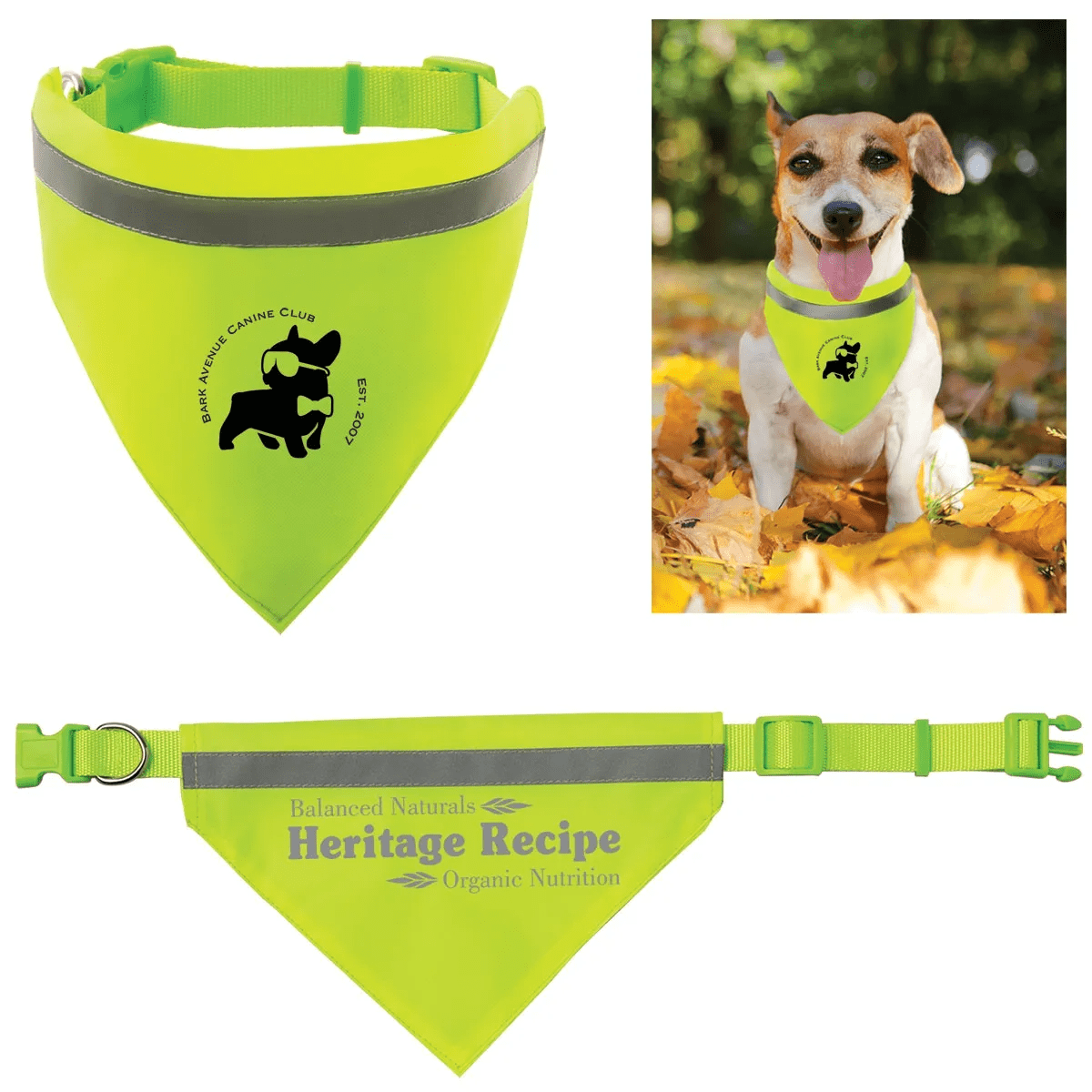 A reflective triangle pet scarf in bright yellow with a buckle, featuring a logo. Includes an image of a dog wearing it. Reflective Triangle Pet Scarf - Image 1
