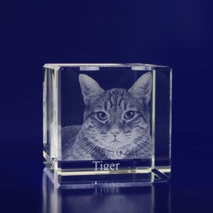 3D Crystal Cube (50mm)