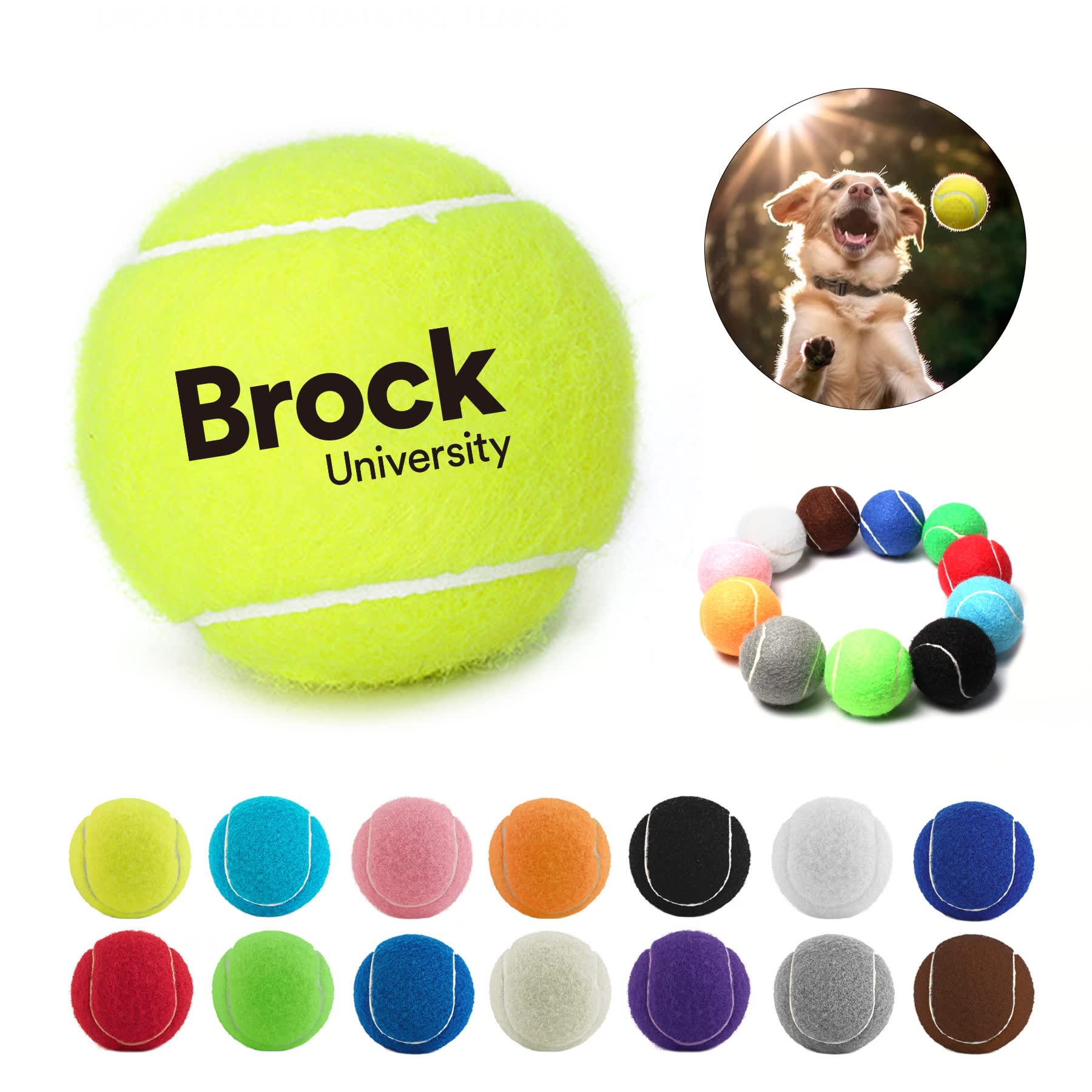 A set of colourful pet tennis balls in various shades, including neon yellow, green, and pink, with a logo on one. Pet Tennis Ball - Image 1