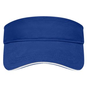 Sandwich Sunvisor