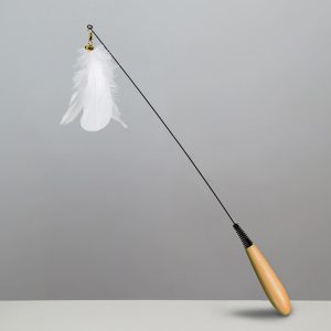 Funny Cat Stick