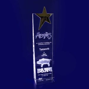 3D Crystal Star Wedge (270mm)