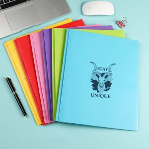 2 Pockets Plastic Folder