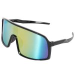Polarized Shield Sunglasses